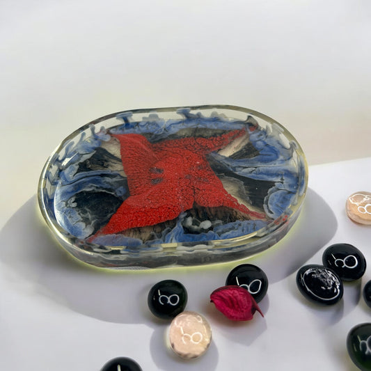 Oval epoxy resin tray