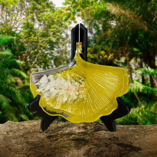 Vide Poche Feuille de Gingko